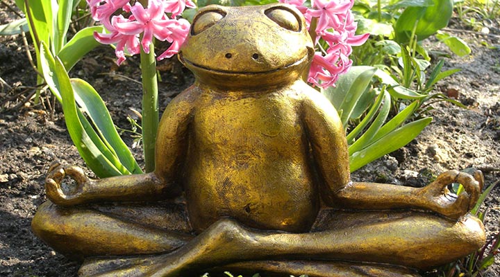 Yoga-Frosch